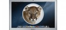 Mountain_lion