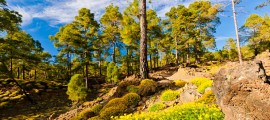 mountain_timelapse